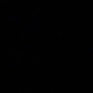 Meet your Posher, Mayrin